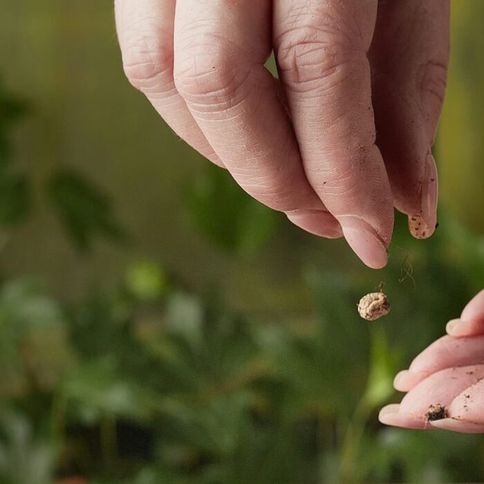 Could poor leadership be planting the seeds for psychosocial risk? Could poor leadership be planting the seeds for psychosocial risk?