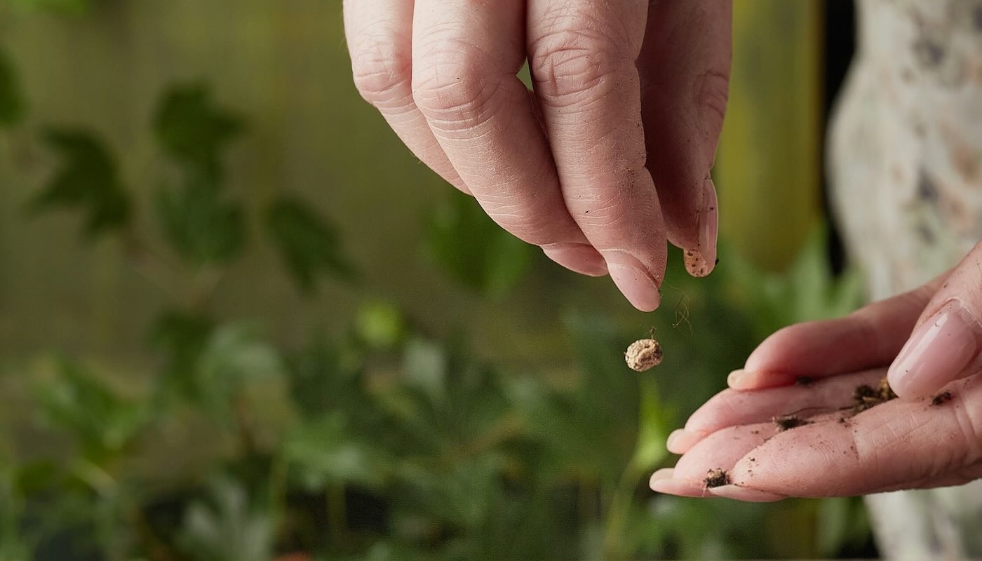 Could poor leadership be planting the seeds for psychosocial risk?